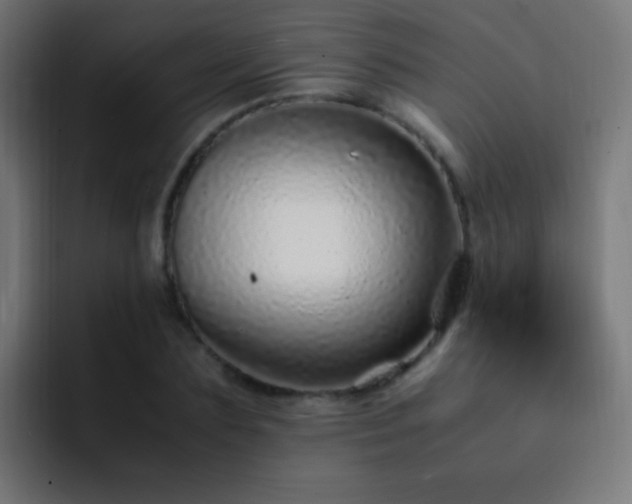 X0000093160883200710031444