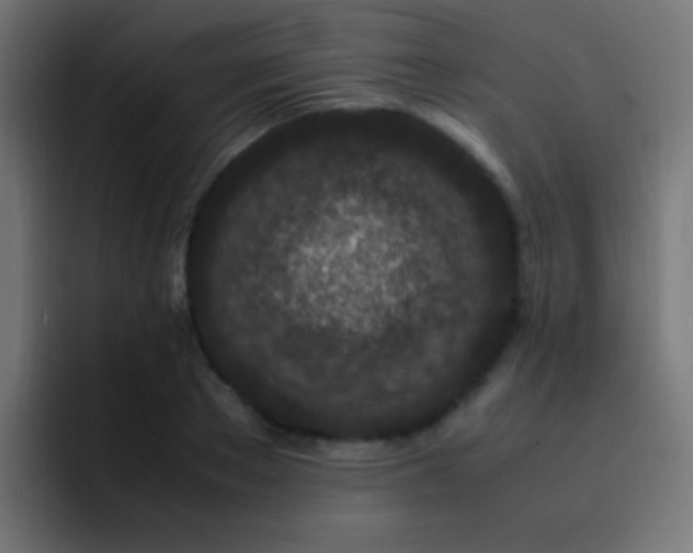 X0000093160889200710031444