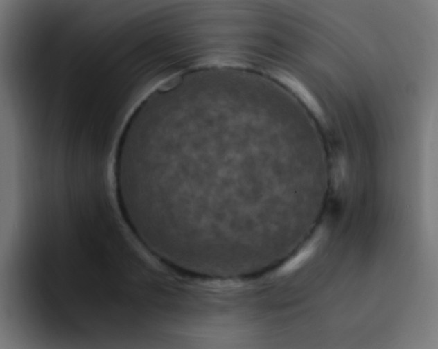 X0000093160893200710031444