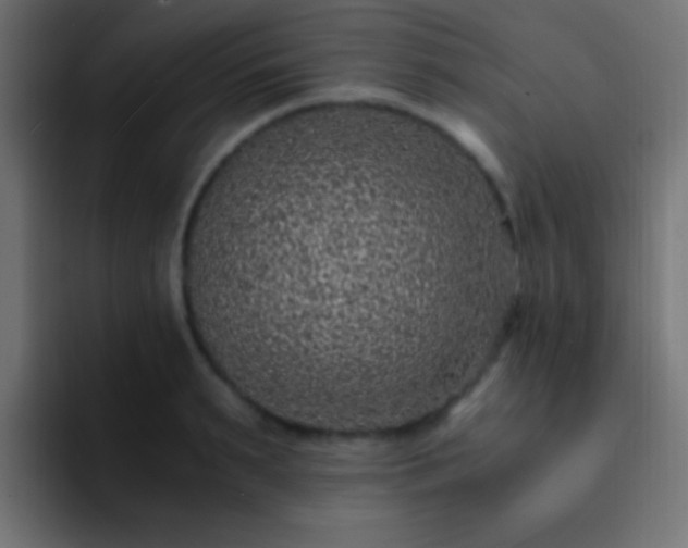 X0000093160895200710031444