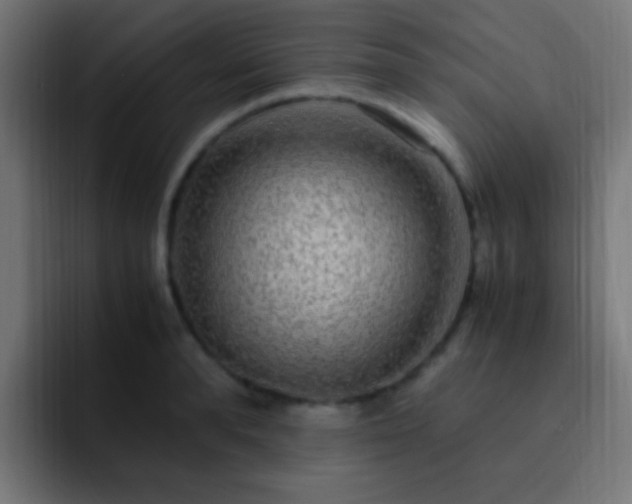 X0000093160896200710031444