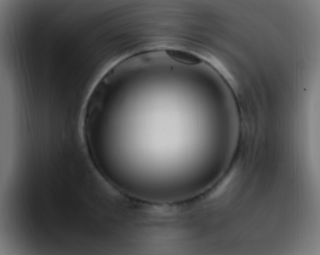 X0000093160901200710031443