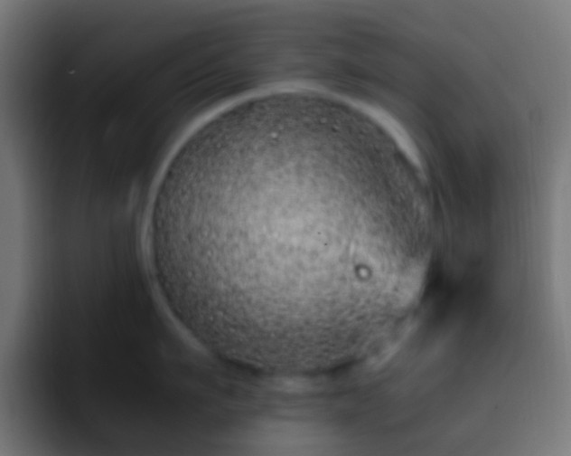 X0000093160911200710031443