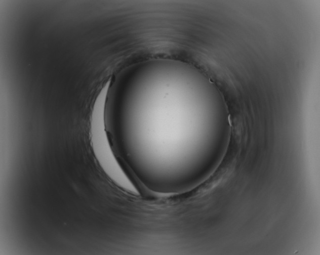 X0000093160916200710031443