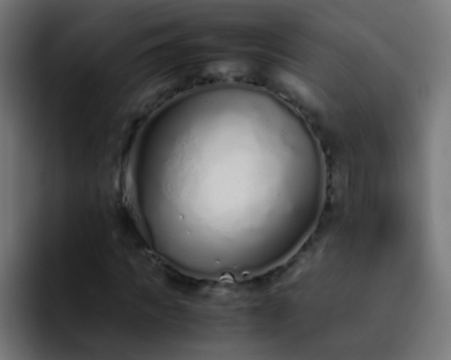 X0000093160917200710031443