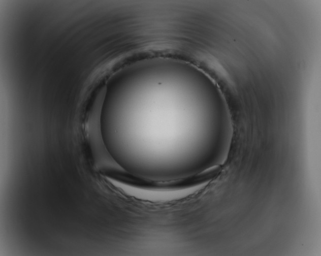 X0000093160920200710031443