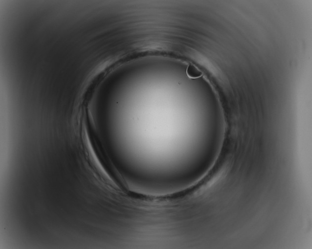 X0000093160922200710031443