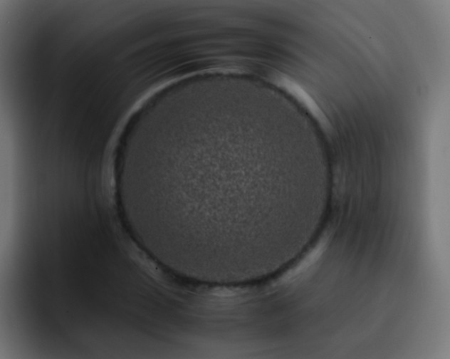 X0000093160923200710031443