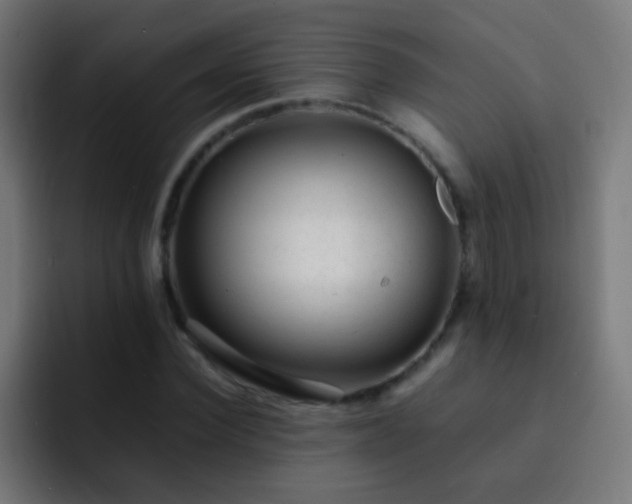 X0000093160924200710031443