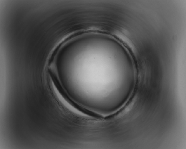 X0000093160925200710031443