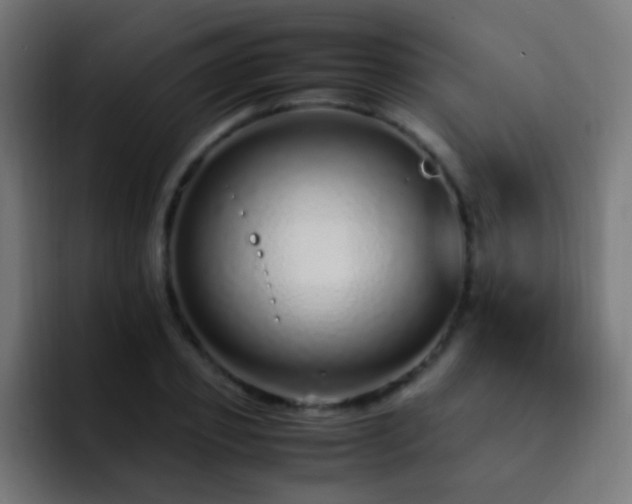 X0000093160933200710031443