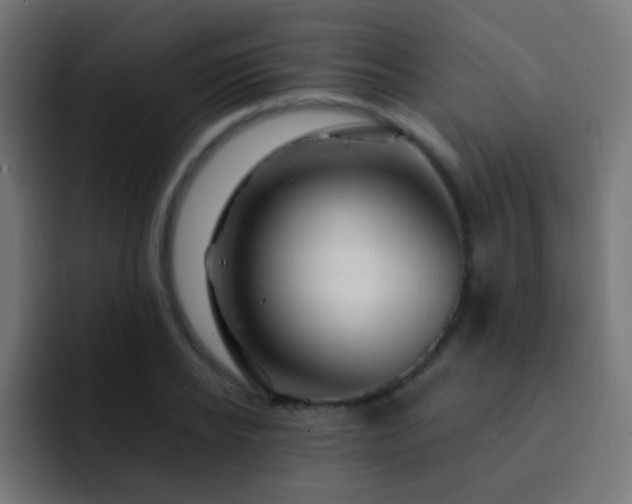 X0000093160934200710031443