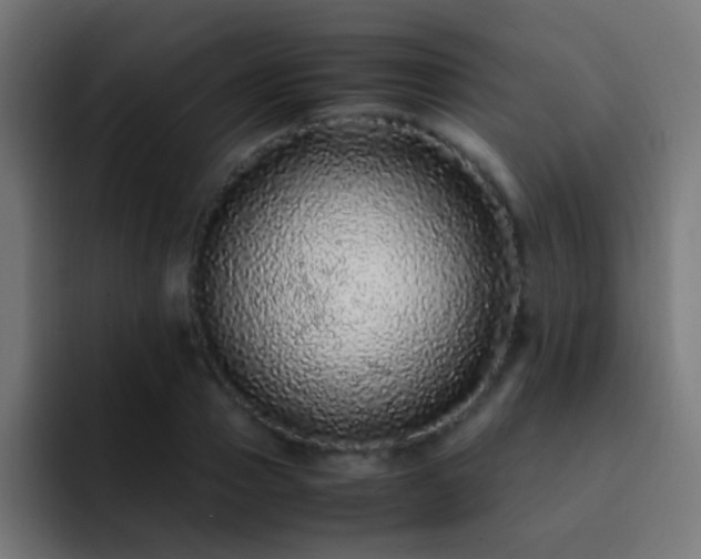 X0000093160937200710031443