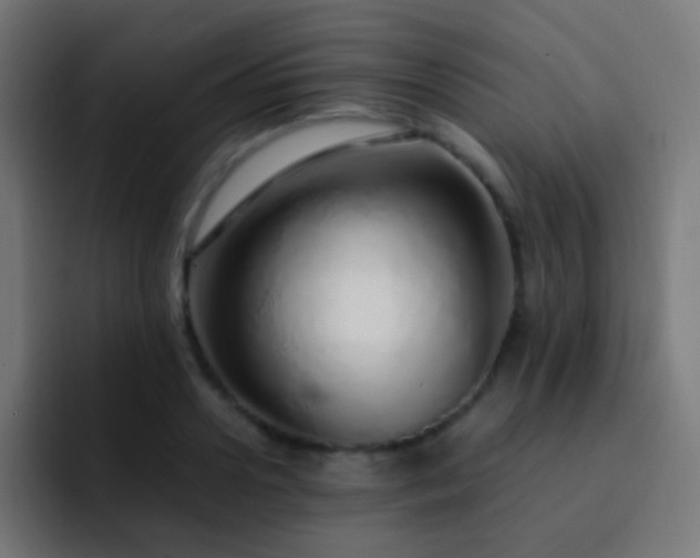 X0000093160938200710031443