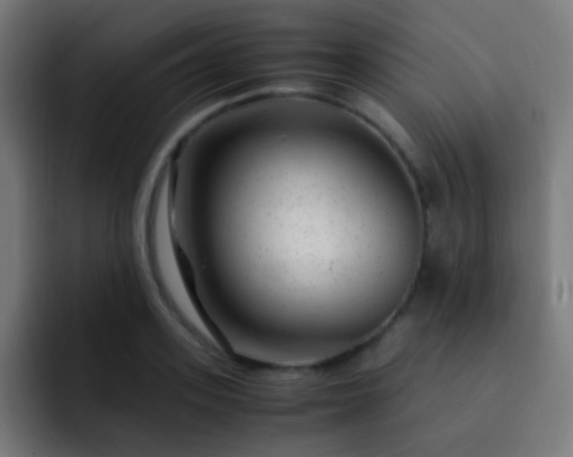 X0000093160939200710031443