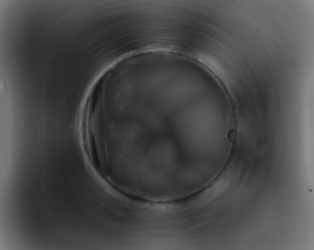 X0000093160941200710031443