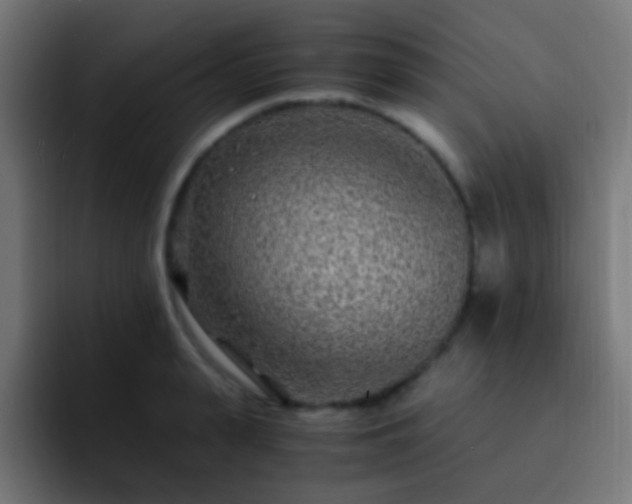 X0000093160943200710031443