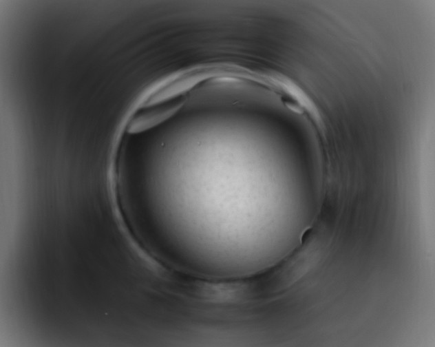 X0000093160951200710031443