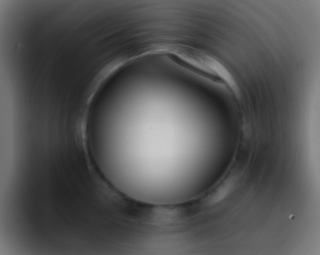 X0000093160954200710031443