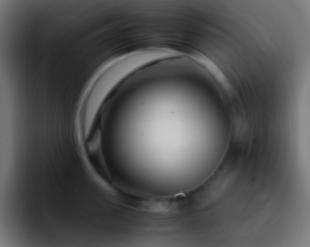 X0000093160955200710031443