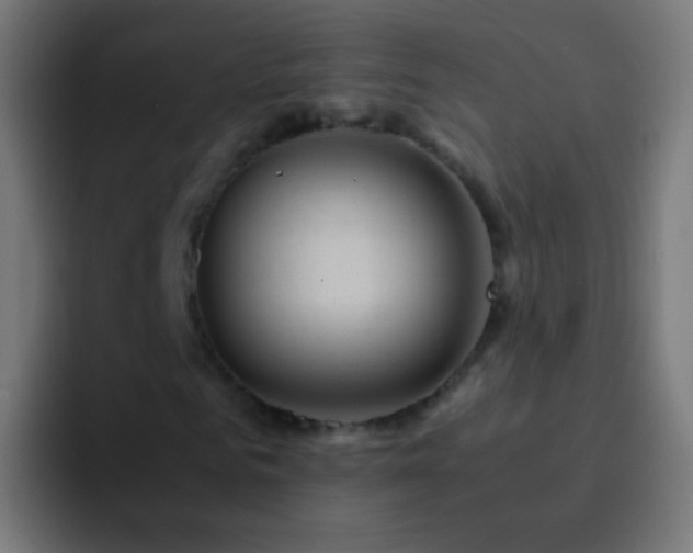 X0000093160961200710031443