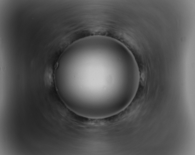 X0000093160963200710031443