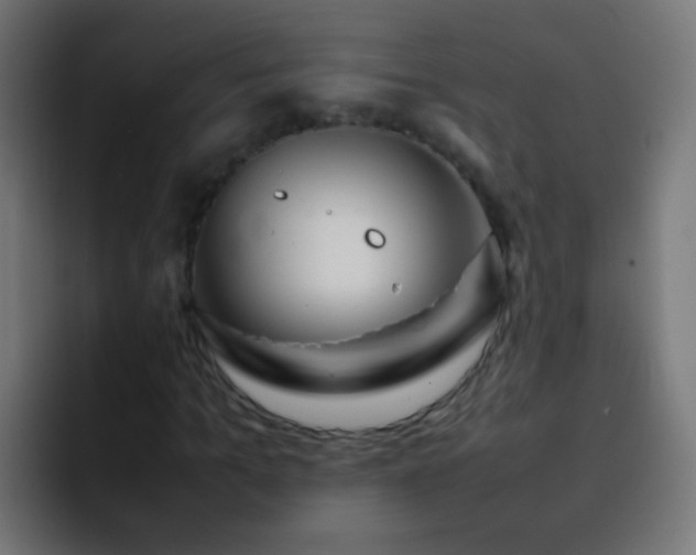 X0000093160965200710031443