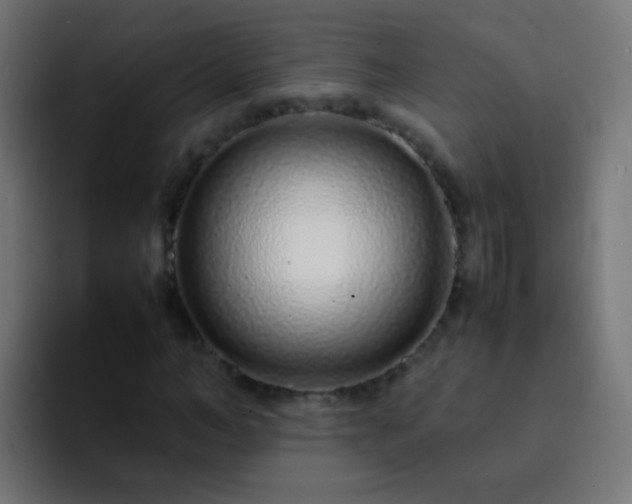 X0000093160966200710031443