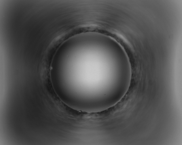 X0000093160967200710031443
