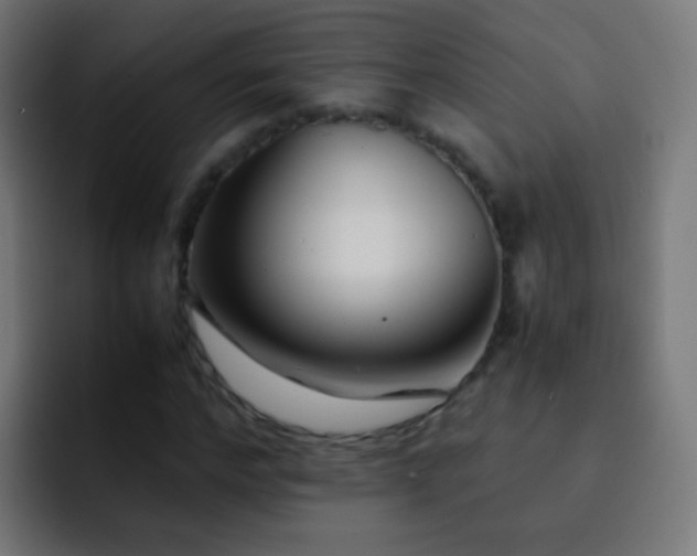 X0000093160968200710031443