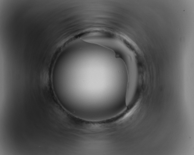 X0000093160969200710031443
