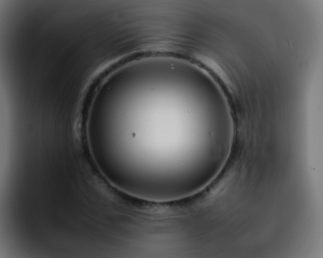 X0000093160971200710031443