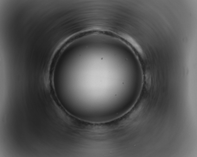 X0000093160972200710031443
