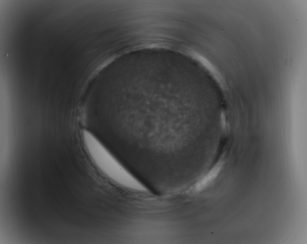X0000093160977200710031443