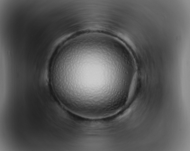 X0000093160979200710031443