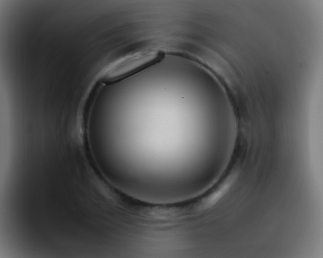 X0000093160981200710031443