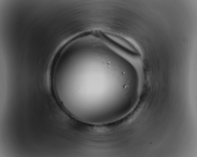X0000093160983200710031442