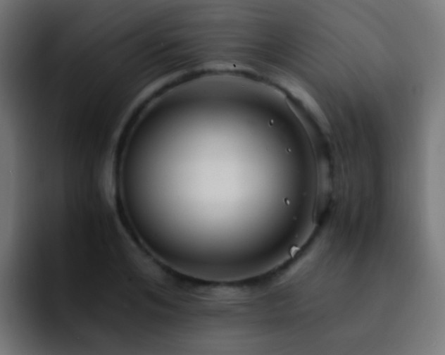 X0000093160984200710031442