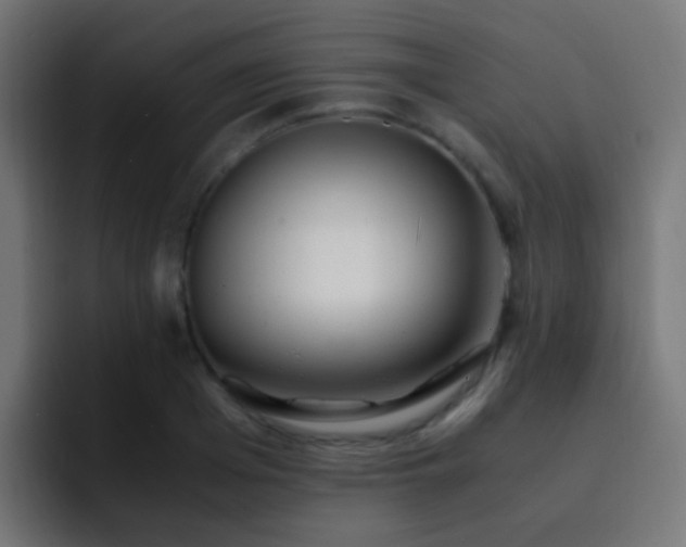 X0000093160985200710031442