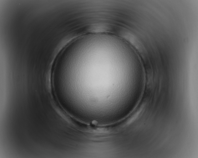 X0000093160986200710031442