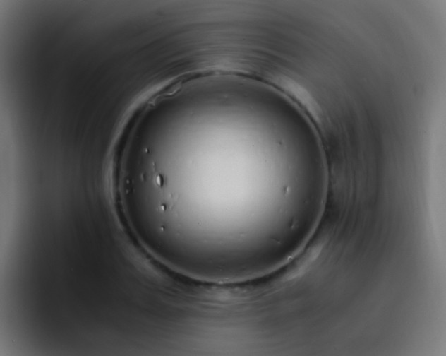 X0000093160987200710031442