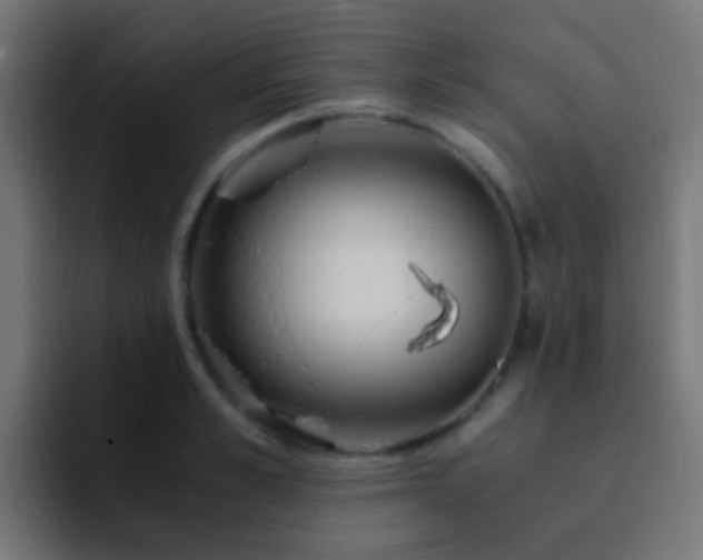 X0000093160989200710031442