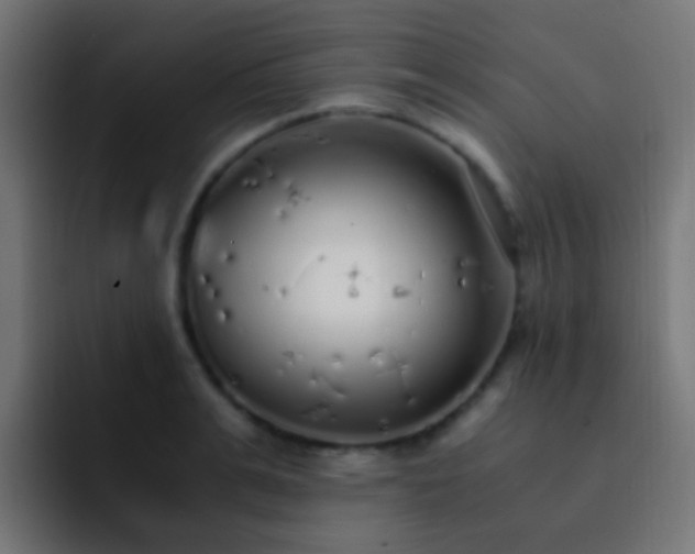 X0000093160991200710031442