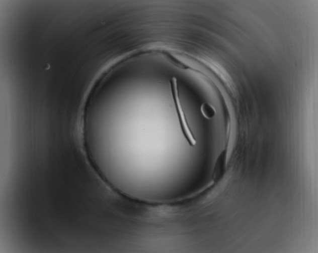 X0000093160992200710031442