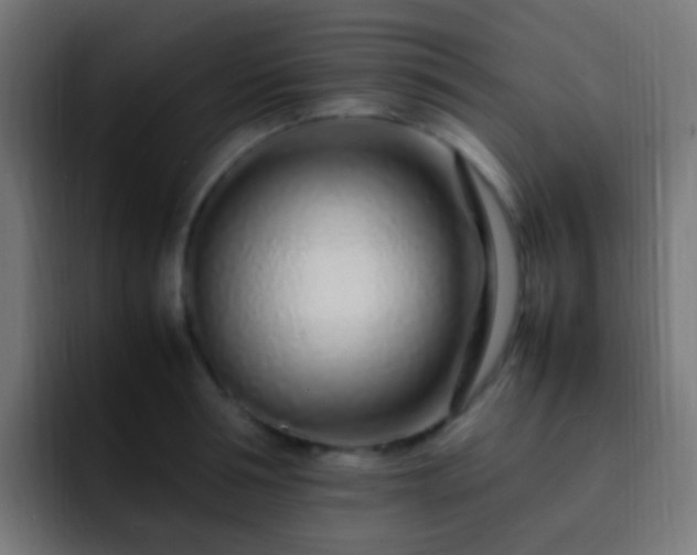 X0000093160994200710031442