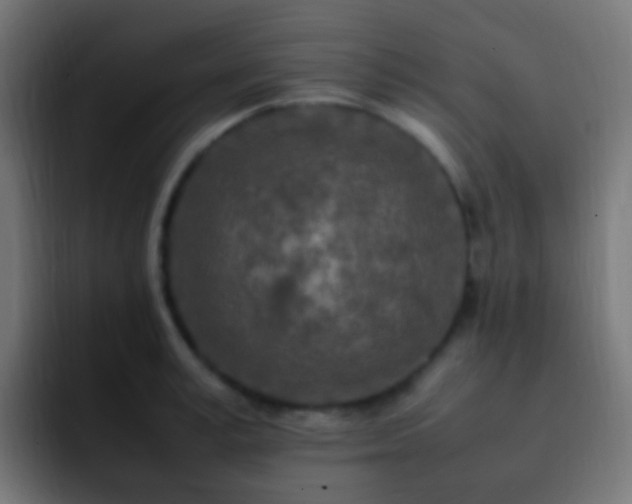 X0000093160995200710031442