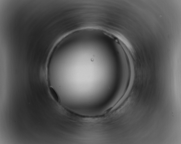 X0000093160996200710031442