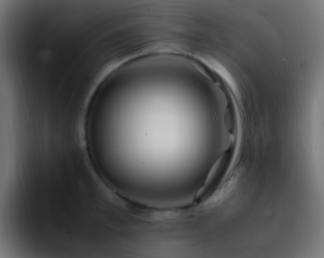 X0000093160997200710031442