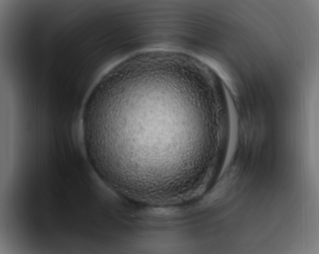 X0000093160998200710031442