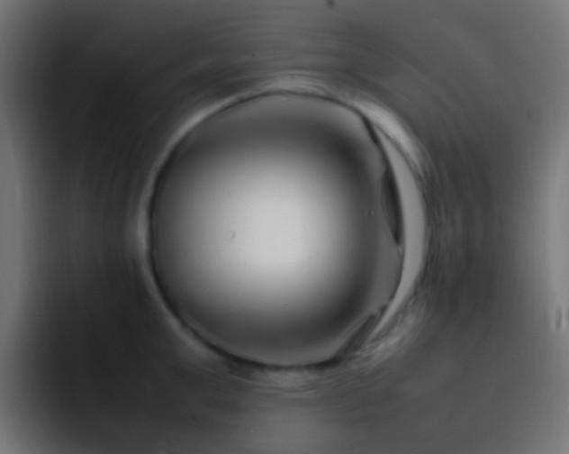 X0000093160999200710031442